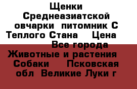 Щенки Среднеазиатской овчарки (питомник С Теплого Стана) › Цена ­ 20 000 - Все города Животные и растения » Собаки   . Псковская обл.,Великие Луки г.